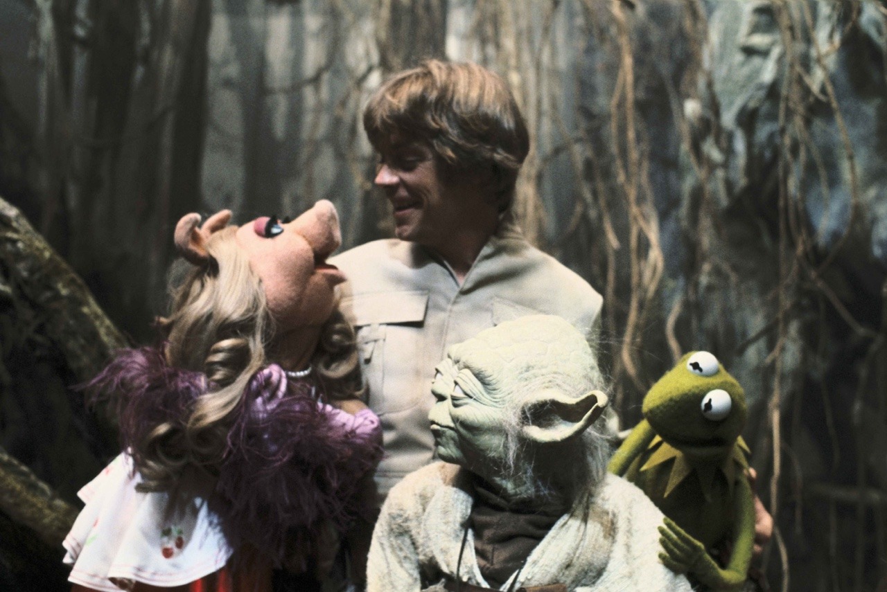 hrbloodengutz12:  Happy Birthday to Mark Hamill - born on  September 25, 1951!