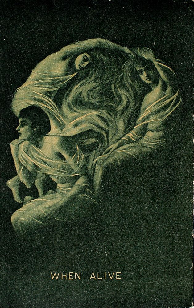 thegentlemanwitch:The Artistic Allure Of The Human Skull