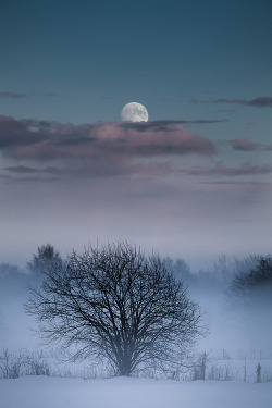 invocado:  Moon | by "Tore Heggelund"