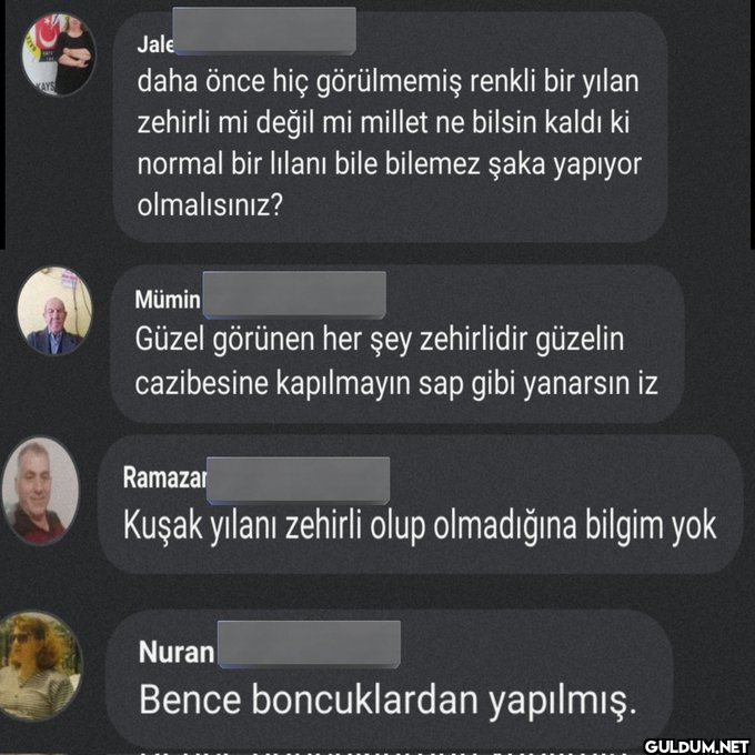 Bir böcek bölümü ile...