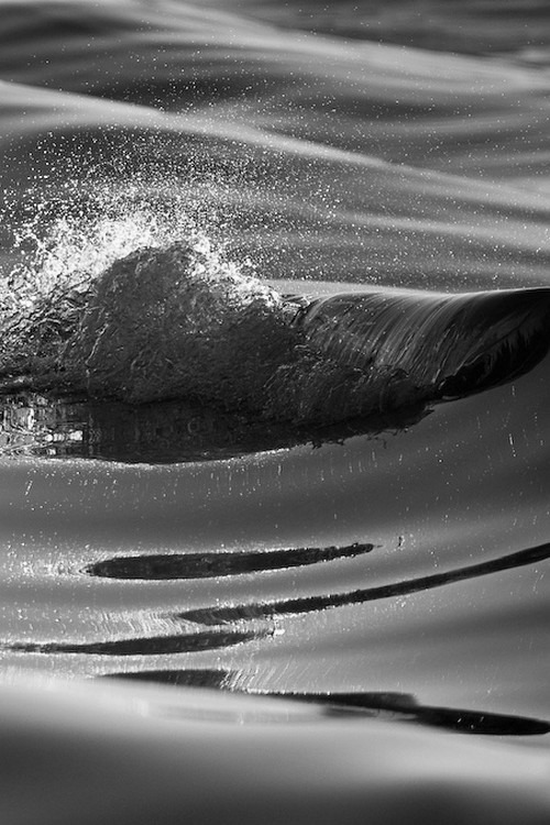 colores-submarinosss.tumblr.com/post/92479727784/