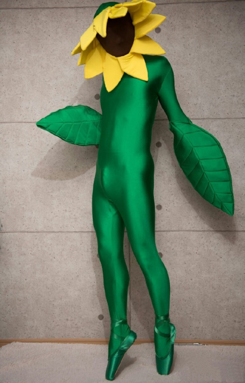 zentaichina: A cute zentai “Sunflower” is dancing. (Pic from Online. If you know him, please let me 