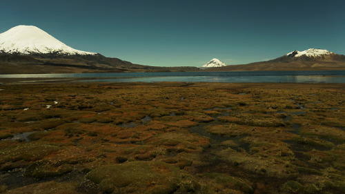 Parque Nacional Lauca, Arica-Parinacota - Chile (Abril, 2018)Lauca National Park, Arica-Parinacota -