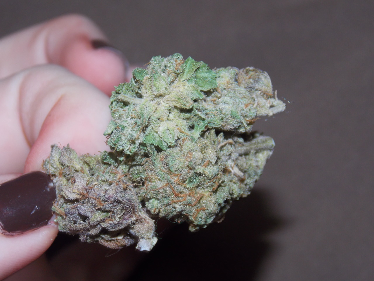 sweetstoner:  when its so sticky your buds stick together. 