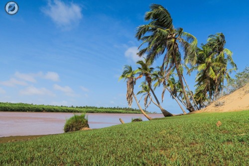 Goobweyn, Somalia. Where the Indian Ocean meets the Jubba River. (Photos by: Mukhtar Nur)