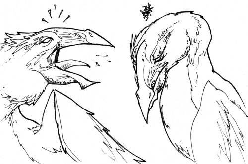 Ink nib birds, squabbling, and two fantasy firearms.