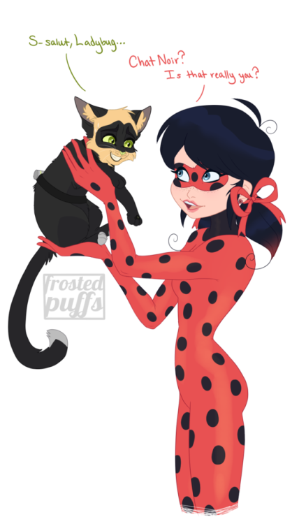 frostedpuffs:  Le Chat devient…le chat?i’ve been having a hard time drawing stuff lately due to time constraints and stress so i self indulged and drew chat noir as an actual cat. don’t know how it happened, but it was probably plagg’s fault—either