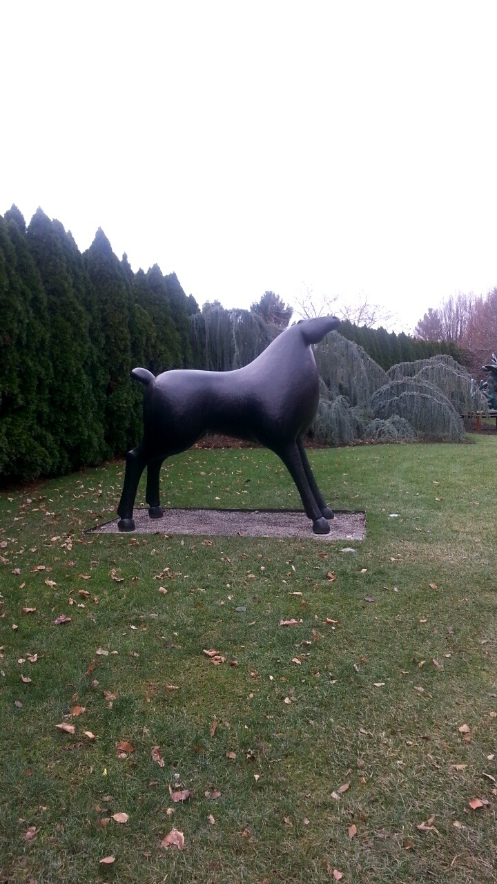 Graham and I went to Gardens of Sculpture and we saw a bunch of weird dogs.