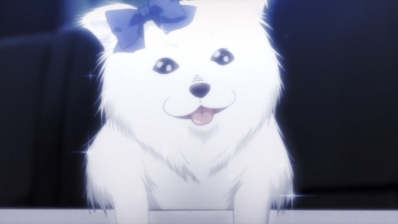 25 Best Anime Dogs Mans Best Friend in Anime Shows  Movies  FandomSpot