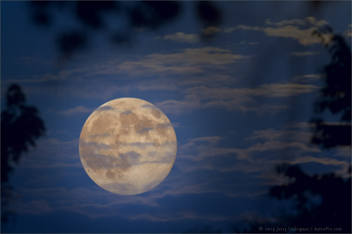 Surreal Moon, August 10, 2014. js