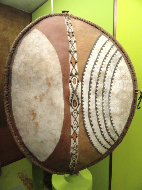 Shield of a Masai warrior.  Now in the American Museum of Natural History, NYC.