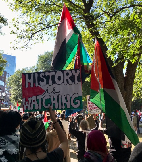 BOSTON COALITION FOR PALESTINE SHUT DOWN STORROW DRIVE FOR 30 Min 10/6/24!