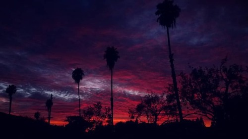 California fires are making the sky show some beautiful contrasting colors. #california #centralval