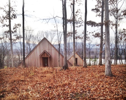 My family and I built this cabin in the woods to be completely carbon neutral – it runs off a 