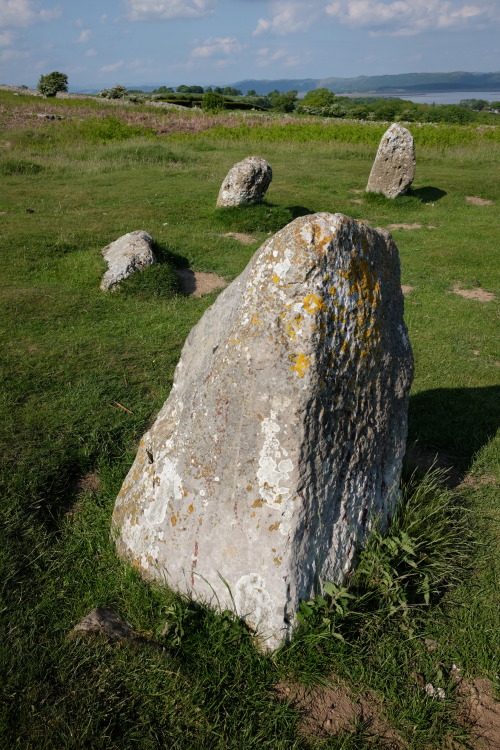 Sunbrick (or ‘Druid’s Circle’) Stone Circle, near Bardsea, Lake District, 29.5.16. This site is thou