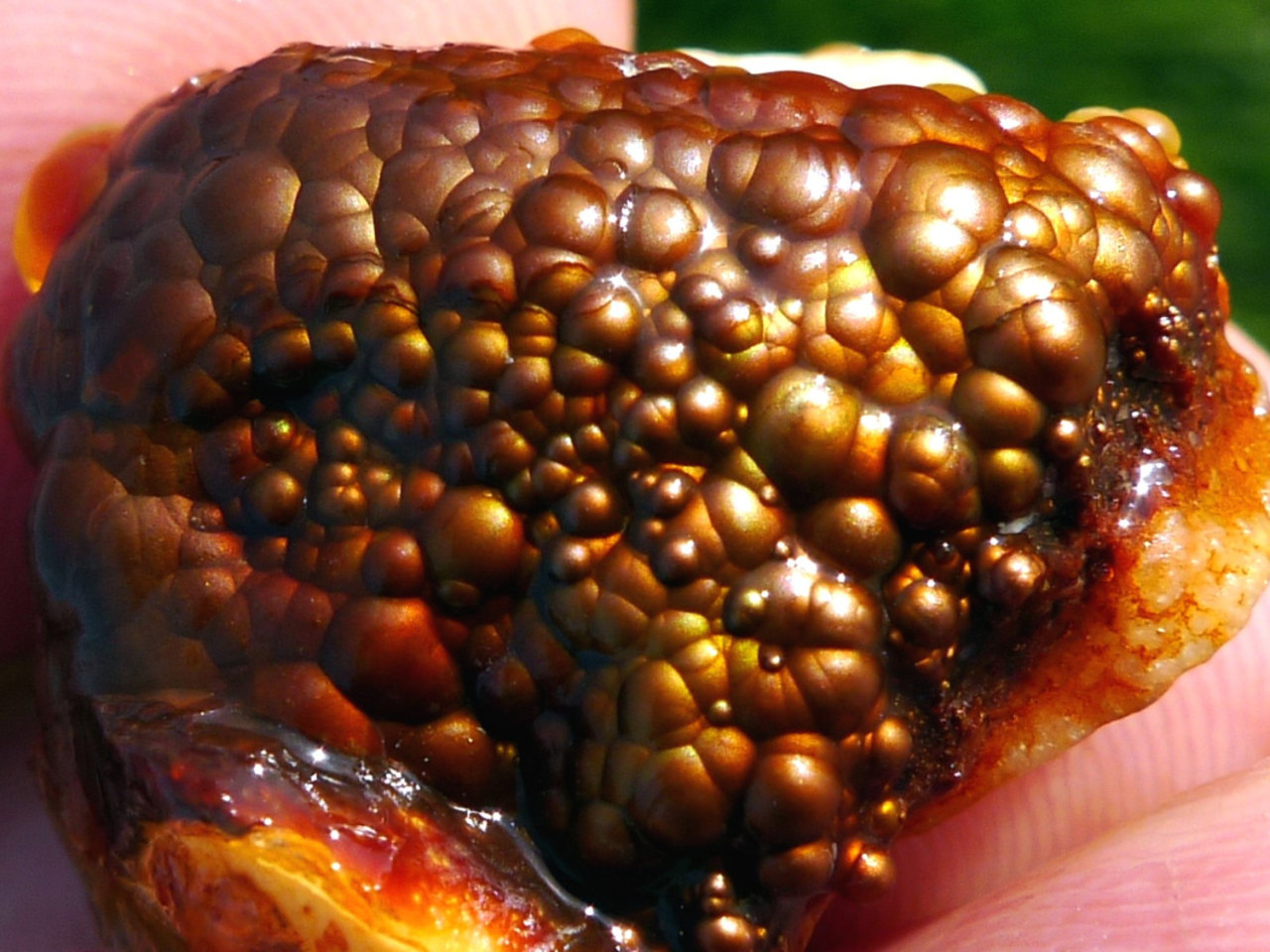 mineralists:  Fire AgateSources: https://www.etsy.com/shop/49erMinerals, https://www.etsy.com/shop/ArizonaFireAgate, https://www.etsy.com/shop/Kyanitecluster, https://www.etsy.com/shop/PlanetOpal, http://www.ebay.com/usr/ming*j