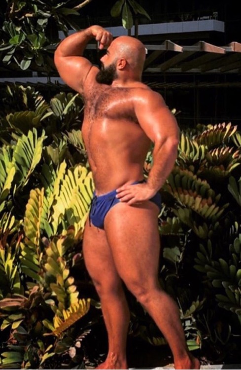 briefsRugbyspeedos