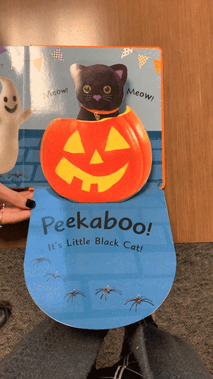 Happy Halloweek and National Cat Day!Pop-up peekaboo! pumpkin by Clare Lloyd, SE. L7756p