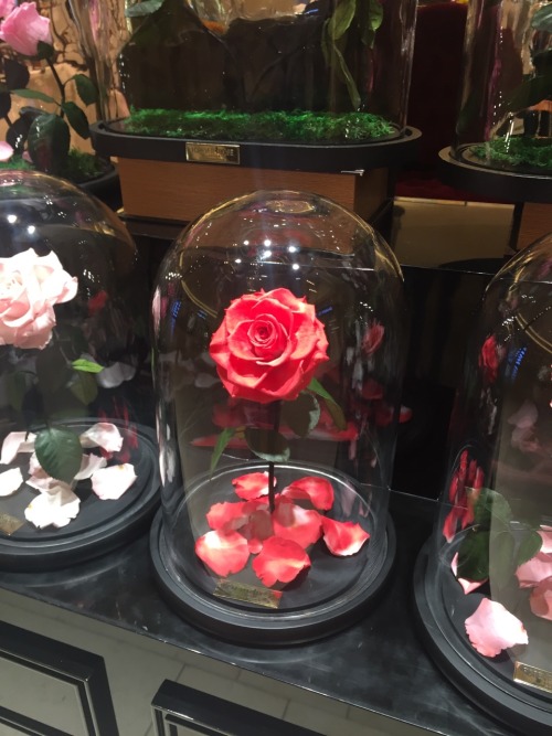 sumayyahs: i saw these at the mall and they made me want to be a princess