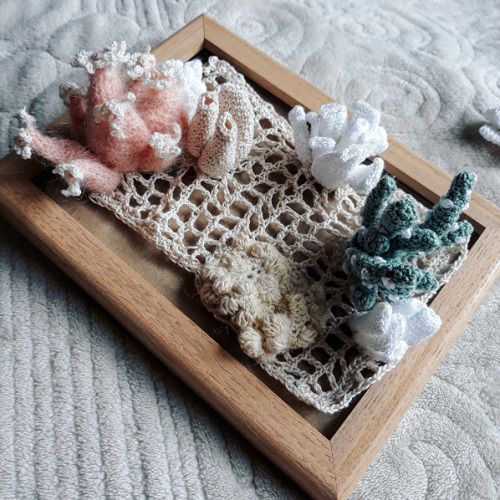 hookedatweiss: crochetbabe:From Beginning to EndCoralscape 1 Gorgeous work @crochetbabe truly astoni