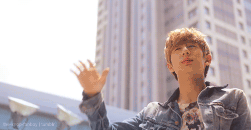 the k-pop fanboy