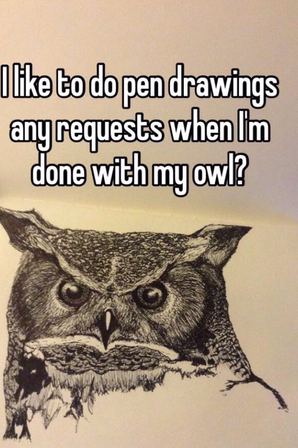 I like to do pen drawings, any requests when I’m done with my owl? And to see progress