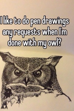 I Like To Do Pen Drawings, Any Requests When I’m Done With My Owl? And To See Progress