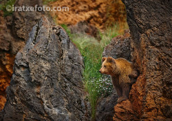 magicalnaturetour:  (via 500px / Discovering the world by Iratxe Zorrilla)