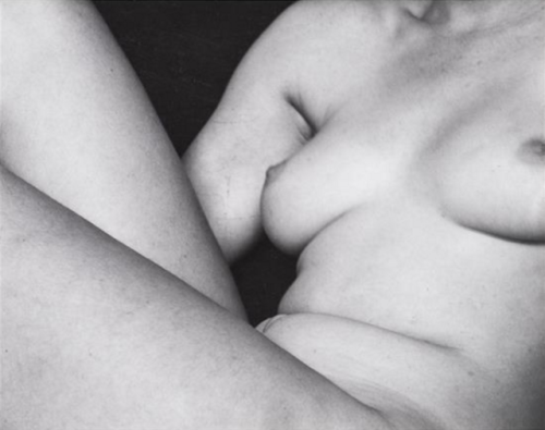 the–elusive–muse - Edward Weston - the greatest American...