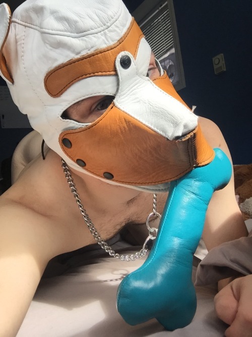 ace-puppy:  @daveywoofr, @fawn–prince, @goodboychance, @nnydlboi, @p0cket-pup, @pup-grizz, @pupsirius, @ruttpup, @tuggerpup, @twitchthepup Hooded Pups of Tumblr #21 