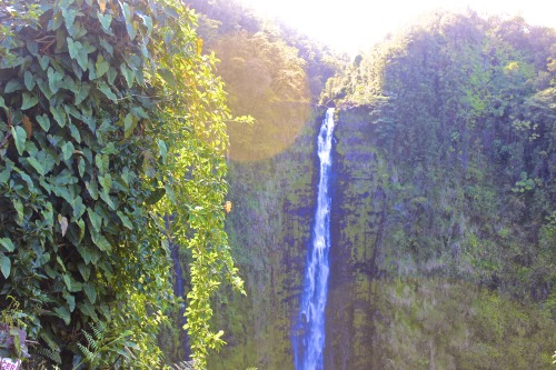 ffsry:  hybrid-machine:  lilysprettysillylife:  http://www.volcanotreehouse.net  Oh my this was a house created with love. Very inspirational for one of my own, one day :)  i want this to be my home some day