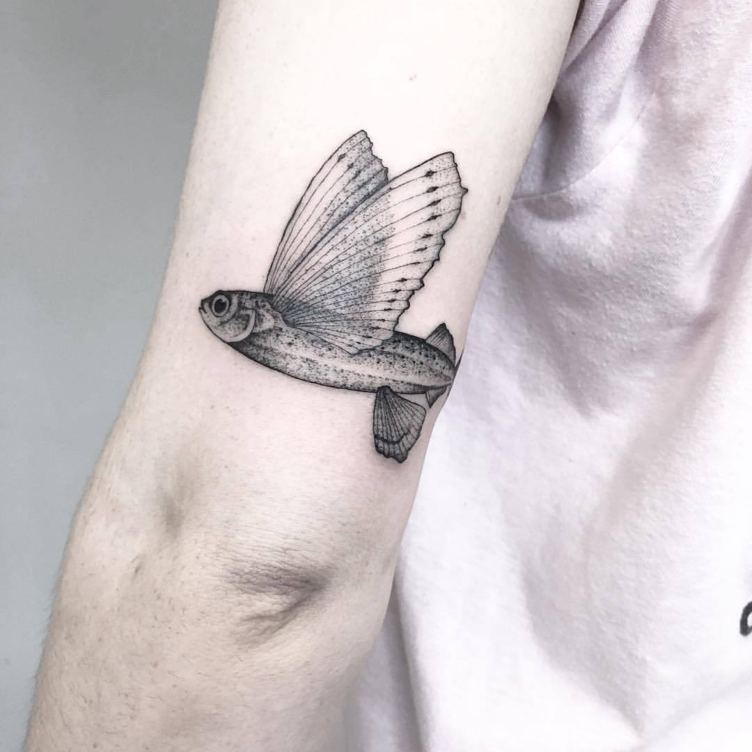 Fish by sollefe  Tattoogridnet