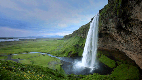 vibrant-exploration-scoobydooooo:resimlerin-dili