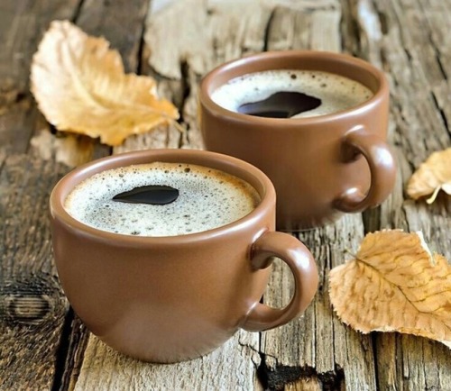 pumpkin-spice-lattes:Cozy Autumn Blog