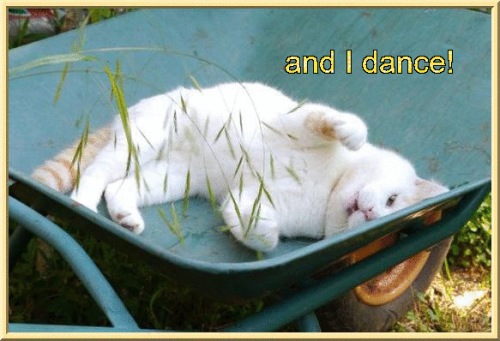 The Side Effects Of That Covid Vaccine Completely Wiped Me Out And I Think Its The Sickest Ive Ever Gotten,