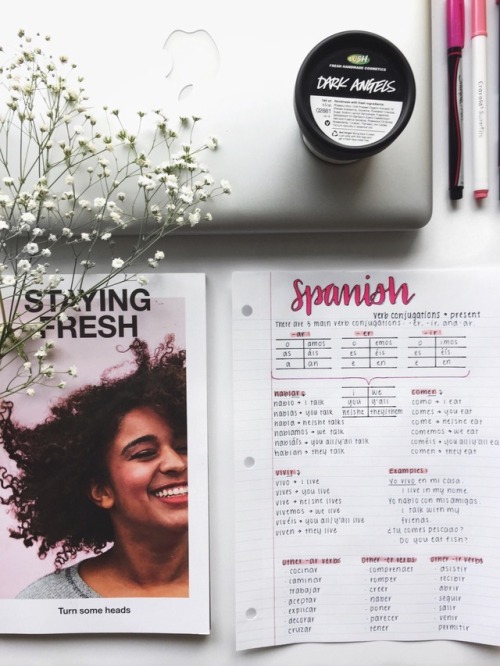 monstrostudy:// just some pink themed spanish notes. i’ve forgotten all i’ve learned eve