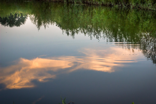 bluelunaphotography:clouds in my coffee