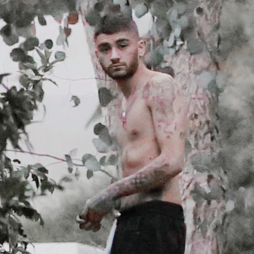 ZAYN - packs like/reblog if you use