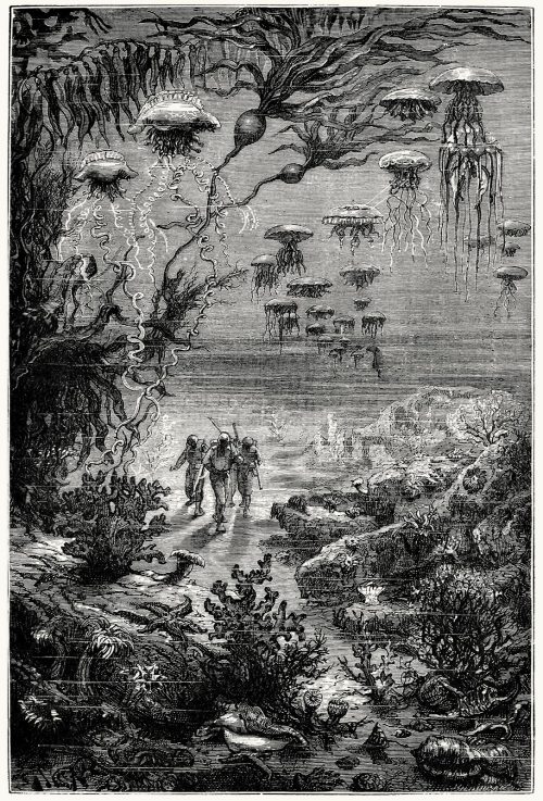 oldbookillustrations:Underwater landscape of Crespo Island.From Vingt mille lieues sous les mers (Tw
