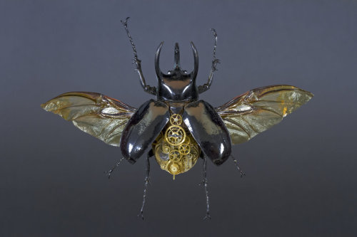 staceythinx:  MeCre (mechanical creatures) by Gaby Wormann 