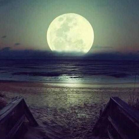 I love the moon