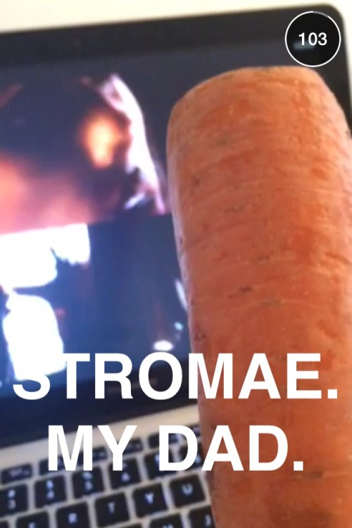 maestromae:  Carrot the Carrot meets his father, Stromae. Featuring Jerome Jarre. 