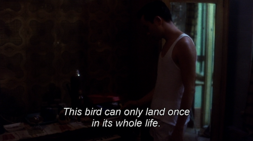 derekjarman:阿飛正傳 (Wong Kar-wai, 1990)