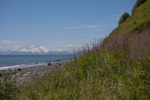 bobbyleemyers: Mt. Redoubt, Mt. Augustine, and Mt. Iliamna, stratovolcanoes of the Aleutian Range.&n