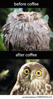 srsfunny:  It’s The Magic Of Coffeehttp://srsfunny.tumblr.com/ 