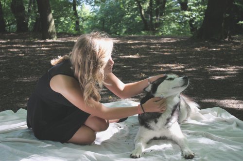 http://szivjel.tumblr.com/post/95233655320
