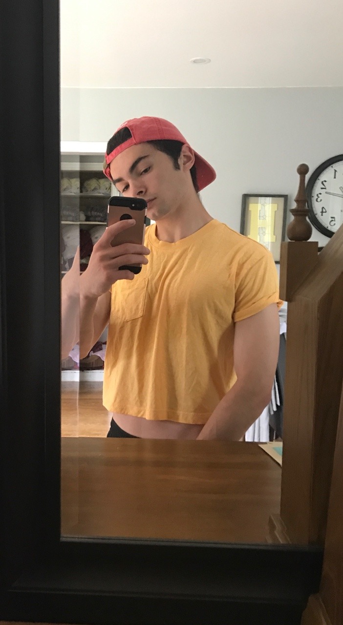 gyaradont:  🌻🌻