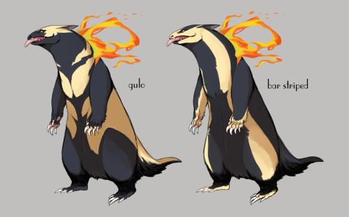 riskydoodles:Typhlosion Variations