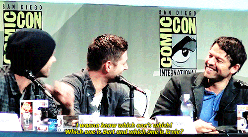 destielette:  “There are two things I know for certain: one, Bert and Ernie are