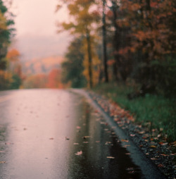 sitoutside:   covered in rain   by  wildorange55